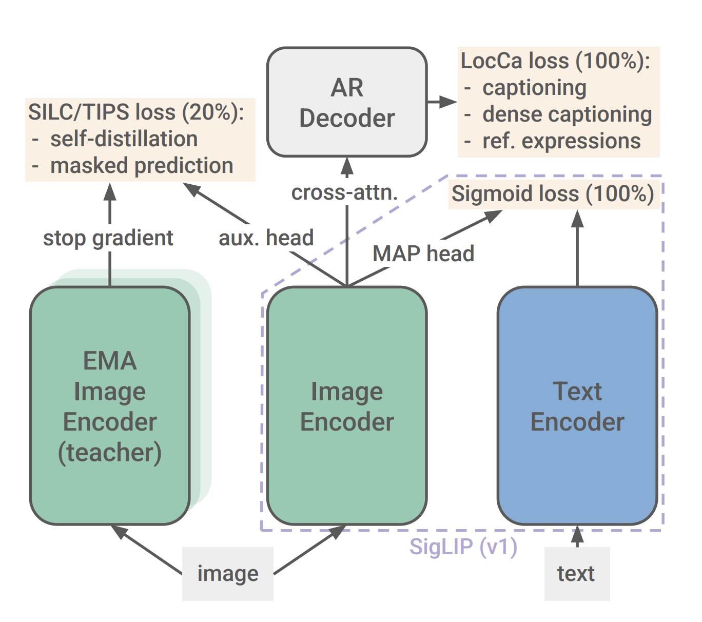 SigLIP2 decoder loss
